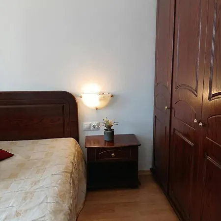 South Facing Balcony 1 Br * בנסקו